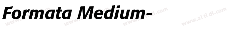 Formata Medium字体转换
